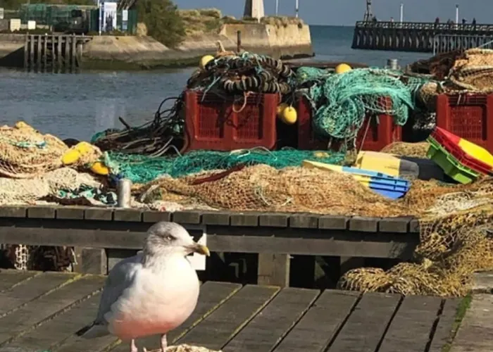 Renové Au Calme, 1 Chambre, Balcon, Proche * Courseulles-sur-Mer